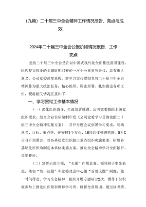 （九篇）二十届三中全会精神工作情况报告、亮点与成效.docx