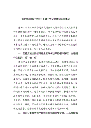 （12篇）国企领导学习党的二十届三中全会精神心得体会（最新版）.docx