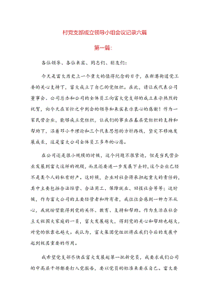 村党支部成立领导小组会议记录六篇.docx
