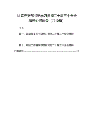 （10篇）法庭党支部书记学习贯彻二十届三中全会精神心得体会范文.docx