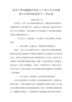 在学习贯彻2024年党的二十届三中全会精神工作情况报告和下一步打算.docx
