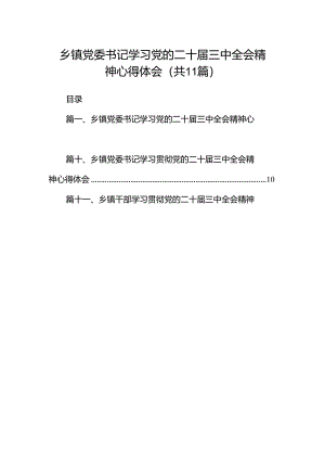 （11篇）乡镇党委书记学习党的二十届三中全会精神心得体会合辑.docx