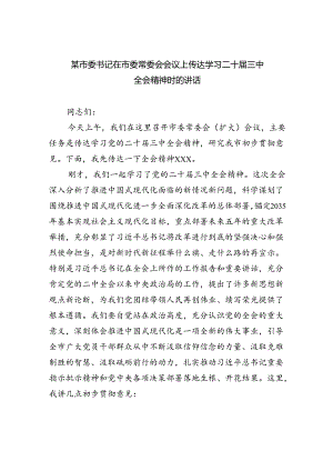 （8篇）某市委书记在市委常委会会议上传达学习二十届三中全会精神时的讲话范文.docx