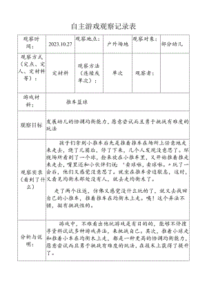 （小班推车）自主游戏观察记录表doc.docx