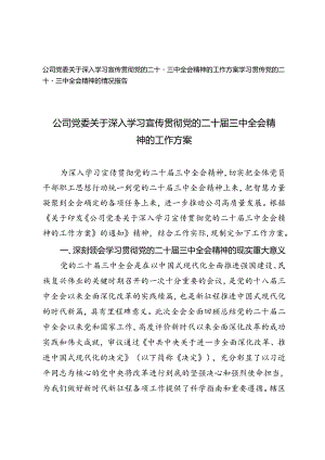 公司党委关于深入学习宣传贯彻党的二十届三中全会精神的工作方案(二十届三中全会精神的情况报告).docx