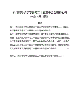执行局局长学习贯彻二十届三中全会精神心得体会12篇（精选）.docx