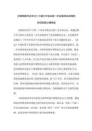 乡镇党委书记深入学习二十届三中全会进一步全面深化改革的总目标的心得体会研讨发言.docx