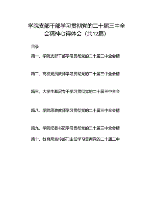 学院支部干部学习贯彻党的二十届三中全会精神心得体会12篇（精选）.docx