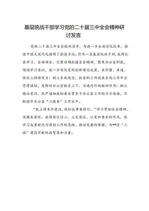 基层统战干部学习党的二十届三中全会精神研讨发言.docx