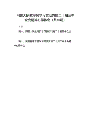 刑警大队教导员学习贯彻党的二十届三中全会精神心得体会（共10篇）.docx
