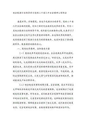 央企国企能源行业领导学习党的二十届三中全会精神研讨发言心得体会.docx