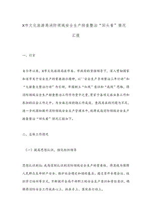X市文化旅游局消防领域安全生产排查整治“回头看”情况汇报.docx