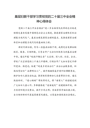 基层妇联干部学习贯彻党的二十届三中全会精神心得体会.docx