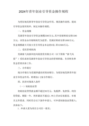 2024年青年创业引导资金操作规程.docx