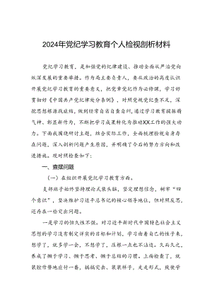 七篇最新版2024年党纪学习教育检视问题对照检查发言材料.docx