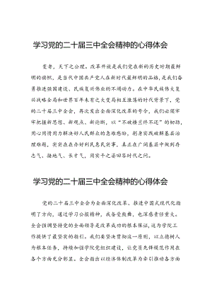2024年党员干部关于二十届三中全会精神心得体会四十四篇.docx