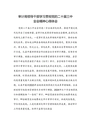 审计局领导干部学习贯彻党的二十届三中全会精神心得体会.docx