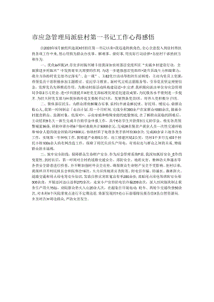 市应急管理局派驻村第一书记工作心得感悟.docx