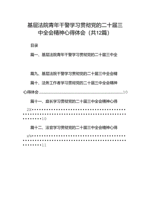 基层法院青年干警学习贯彻党的二十届三中全会精神心得体会（共12篇）.docx