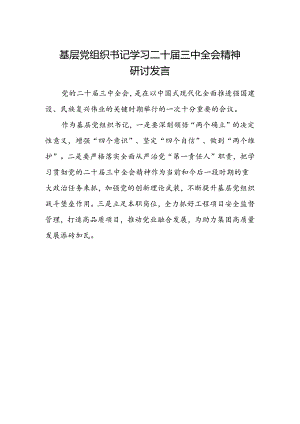 基层党组织书记学习二十届三中全会精神研讨发言.docx