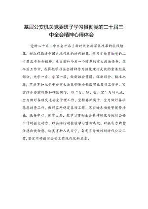 基层公安机关党委班子学习贯彻党的二十届三中全会精神心得体会范文.docx