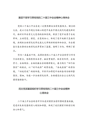 基层干部学习贯彻党的二十届三中全会精神心得体会8篇（精选版）.docx