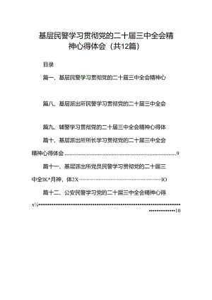 基层民警学习贯彻党的二十届三中全会精神心得体会12篇供参考.docx