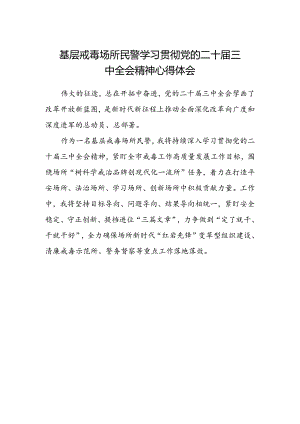 基层戒毒场所民警学习贯彻党的二十届三中全会精神心得体会.docx