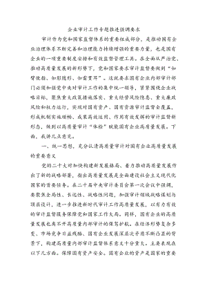 企业审计工作专题推进强调要求.docx