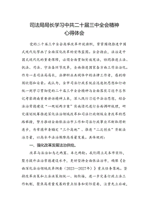 司法局局长学习中共二十届三中全会精神心得体会.docx