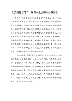 公安民警学习二十届三中全会精神心得体会.docx