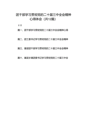 团干部学习贯彻党的二十届三中全会精神心得体会【12篇】.docx
