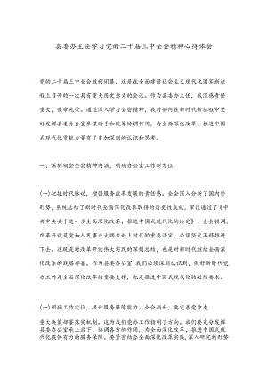 县委办主任学习党的二十届三中全会精神心得体会.docx