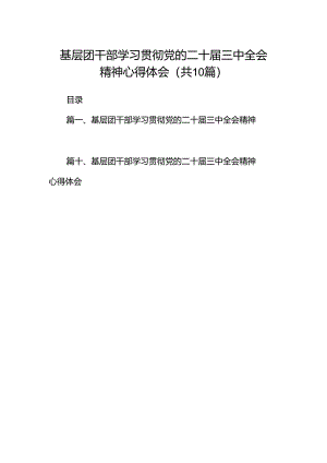 基层团干部学习贯彻党的二十届三中全会精神心得体会(精选共10篇).docx