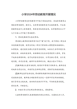 小学2024年劳动教育开展情况.docx