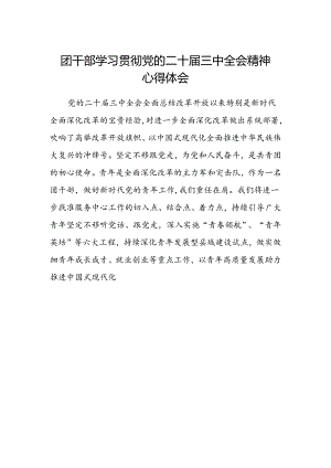 团干部学习贯彻党的二十届三中全会精神心得体会范文.docx
