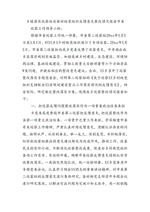 乡镇落实巡察组巡察村级党组织反馈意见整改情况报告4300字.docx