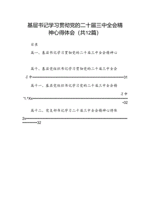 基层书记学习贯彻党的二十届三中全会精神心得体会12篇（最新版）.docx