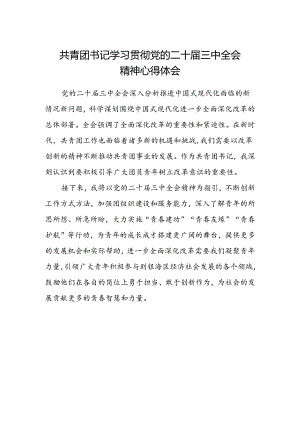共青团书记学习贯彻党的二十届三中全会精神心得体会.docx