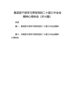 基层团干部学习贯彻党的二十届三中全会精神心得体会10篇（最新版）.docx