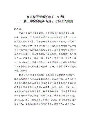 在法院党组理论学习中心组二十届三中全会精神专题研讨会上的发言.docx