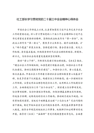 2024年社工部长学习党的二十届三中全会精神心得体会研讨.docx
