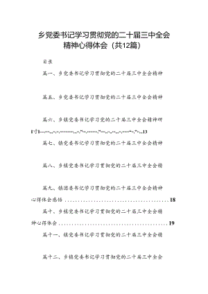 乡党委书记学习贯彻党的二十届三中全会精神心得体会12篇（精选）.docx
