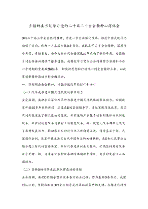 乡镇的委书记学习党的二十届三中全会精神心得体会.docx