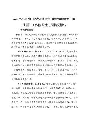 县分公司业扩报装领域突出问题专项整治“回头看”工作阶段性进展情况报告.docx