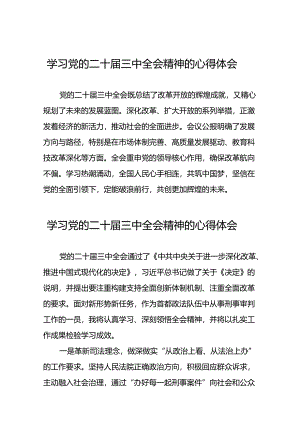 二十届三中全会公报学习体会三十六篇.docx