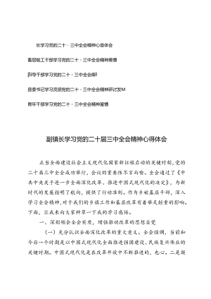 5篇 青年干部学习党的二十届三中全会精神感悟研讨发言（县委书记、领导干部、基层组工干部、副镇长）.docx