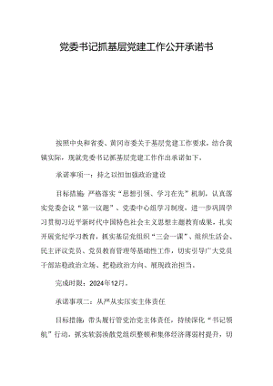 党委书记抓基层党建工作公开承诺书.docx