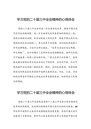 中国共产党第二十届中央委员会第三次全体会议精神的学习心得体会三十五篇.docx
