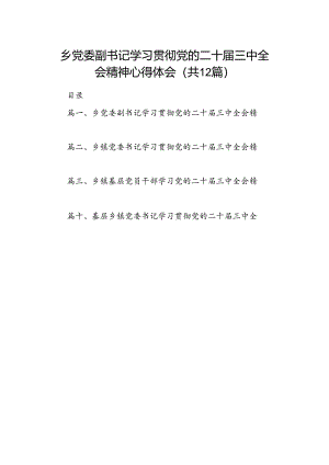 乡党委副书记学习贯彻党的二十届三中全会精神心得体会12篇（精选）.docx